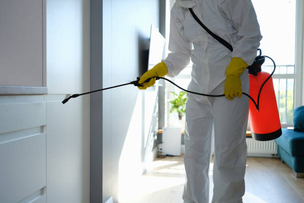 Best Health and Safety Mold Remediation in Naples, FL